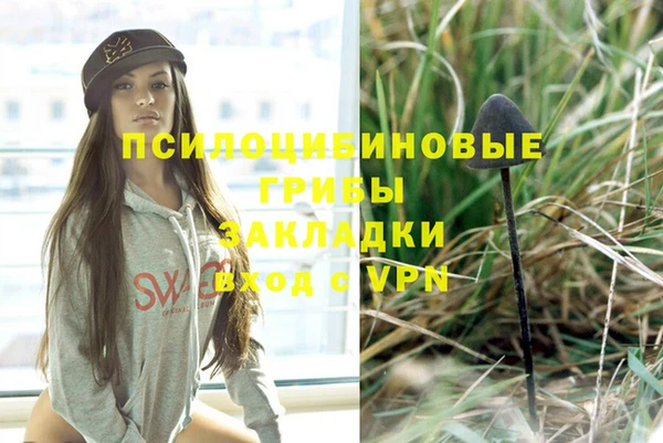 мет Липки