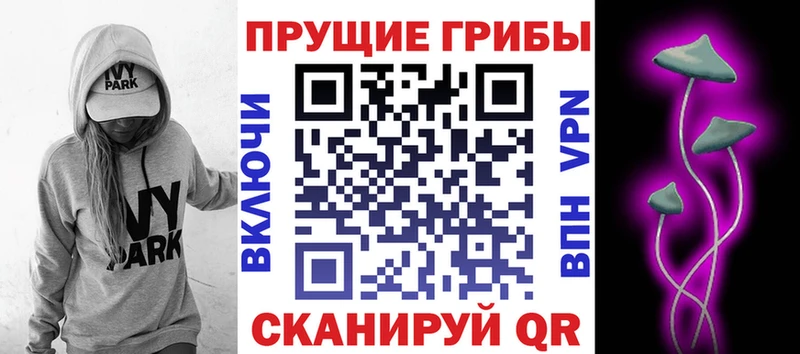 Галлюциногенные грибы Cubensis omg рабочий сайт Мамоново дарнет шоп